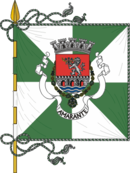 Bandeira de Amarante Bandeira de Amarante