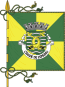 Bandeira de Espinho Bandeira de Espinho
