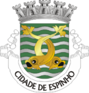 Brasão de Espinho Brasão de Espinho
