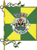 Bandeira de Montijo Bandeira de Montijo