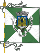 Bandeira do Porto Bandeira do Porto