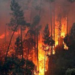 Incêndios florestais voltam a atingir Portugal Incêndios florestais voltam a atingir Portugal