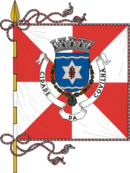 Bandeira de Covilhã Bandeira de Covilhã