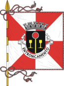 Bandeira de Entroncamento Bandeira de Entroncamento