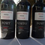 Vinho português é eleito o melhor do mundo