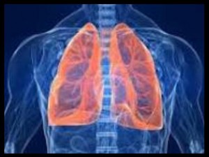 transplante-pulmonar